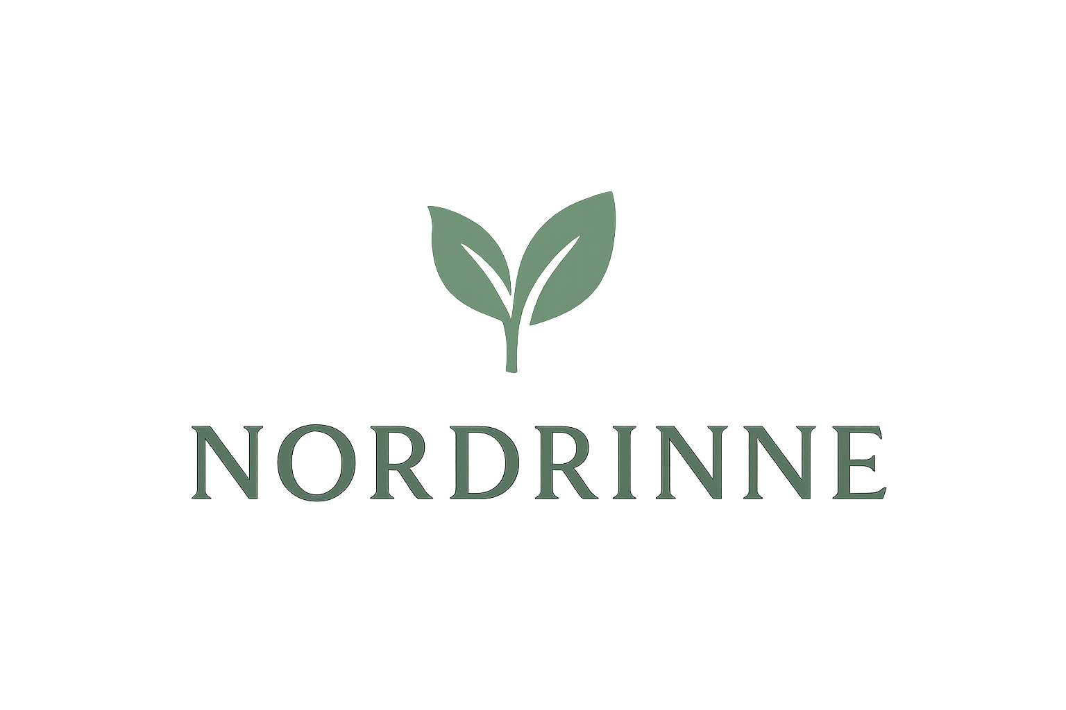 Nordrinnestore